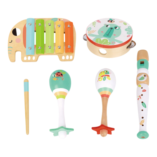 Caja Musical - Music Instrument Set