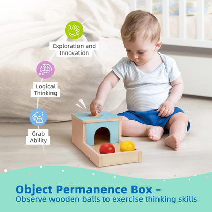Caja educacional montessori 7 a 12 meses 2