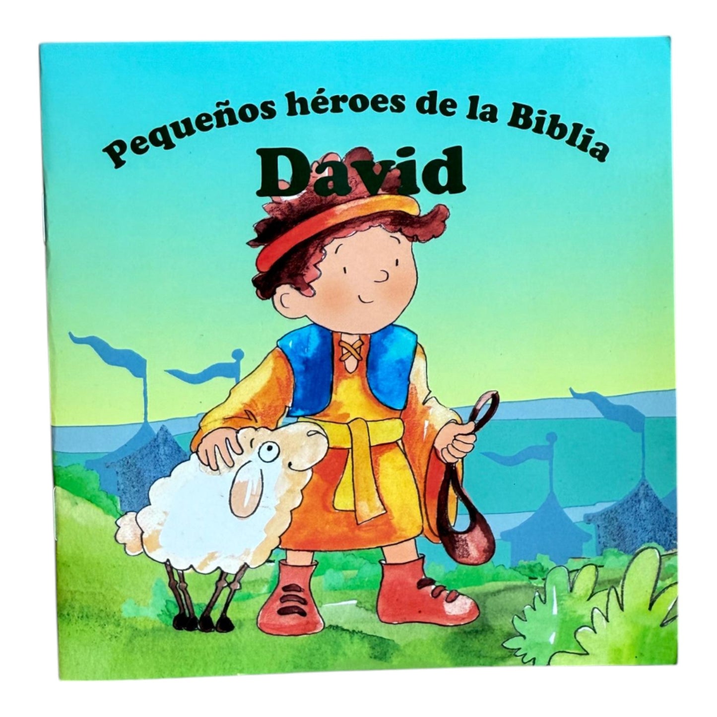 Libros pequeño heroes de la Biblia