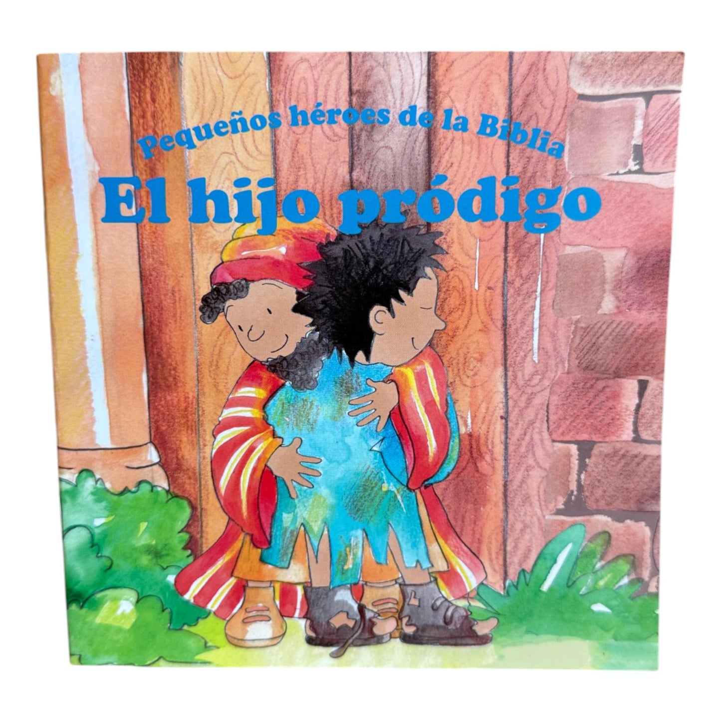 Libros pequeño heroes de la Biblia